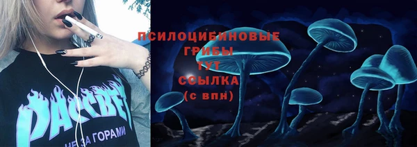 экстази Лагань