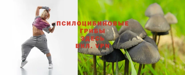 mdpv Архангельск