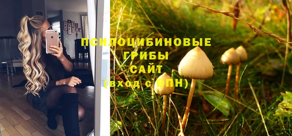 мдпв Липки
