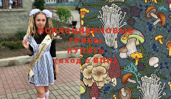 PSILOCYBIN Ладушкин