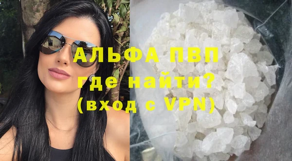 PSILOCYBIN Ладушкин