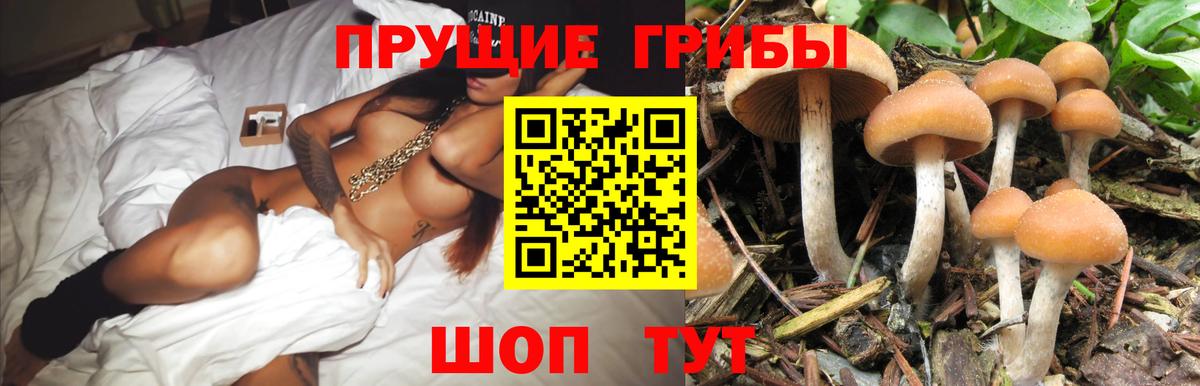 Клин  Галлюциногенные грибы MAGIC MUSHROOMS  где купить наркоту  Вход с VPN  Псилоцибиновые грибы мухоморы 