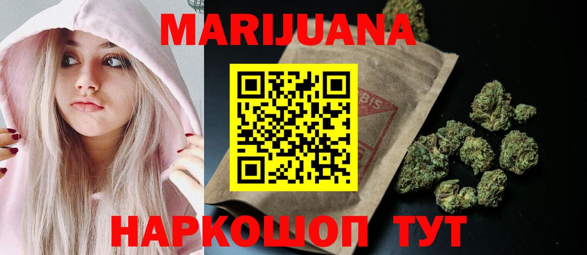 Канабис планчик  Шишки марихуана конопля  Клин  Каннабис сатива 